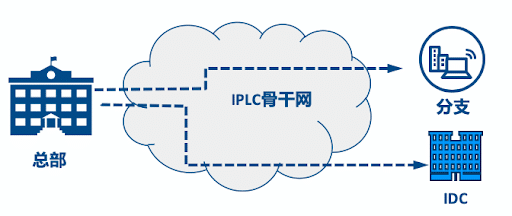 什么是IPLC？