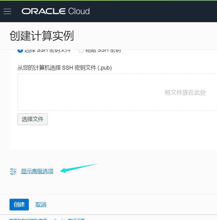 申请Oracle Cloud永久免费服务+300美元试用额度插图8